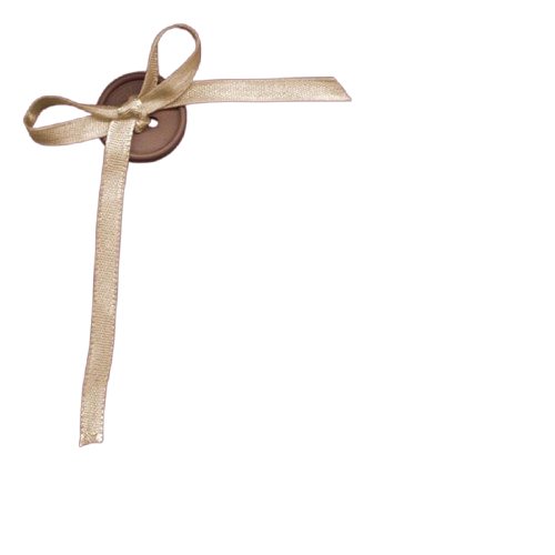 SCN Banner Flower